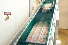 Inclined belt conveyor at Tamar Foods